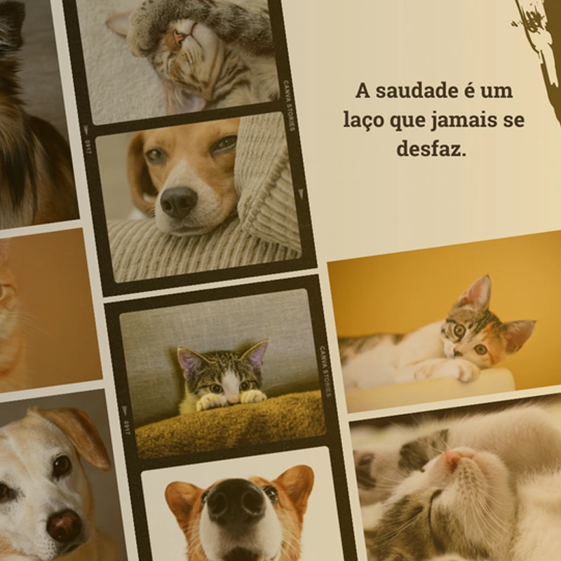 Santuário Vet