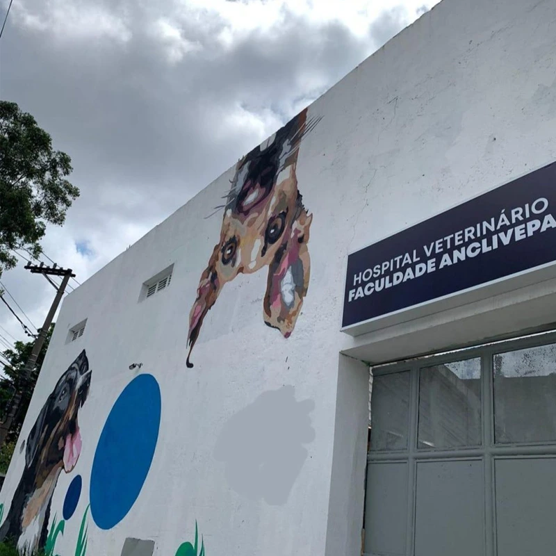 Faculdade Anclivepa