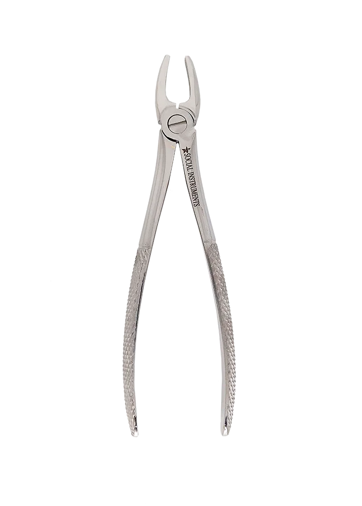 Extrator dentário Adulto 1 padrão Inglês