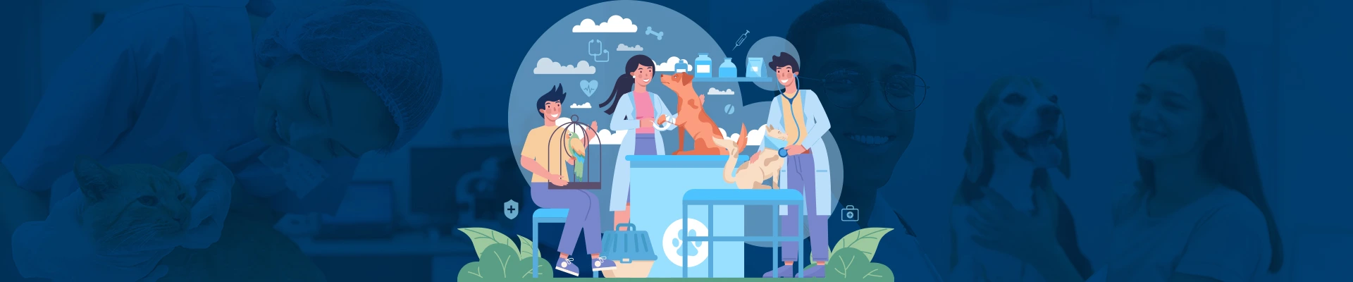 Torne-se um membro do primeiro clube de benefícios para área veterinária