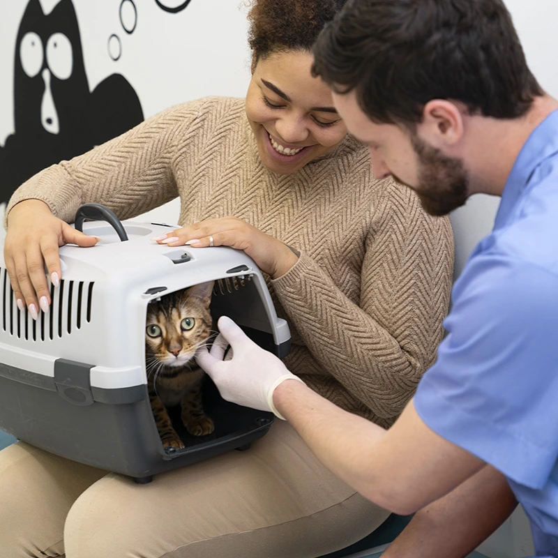 Aulas Exclusivas com Especialistas da Área Veterinária
